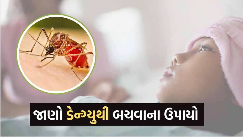 વરસાદની સીઝનમાં ડેન્ગ્યુથી બાળકોને બચાવવા માતા-પિતાએ આ સાવચેતીઓ રાખવી