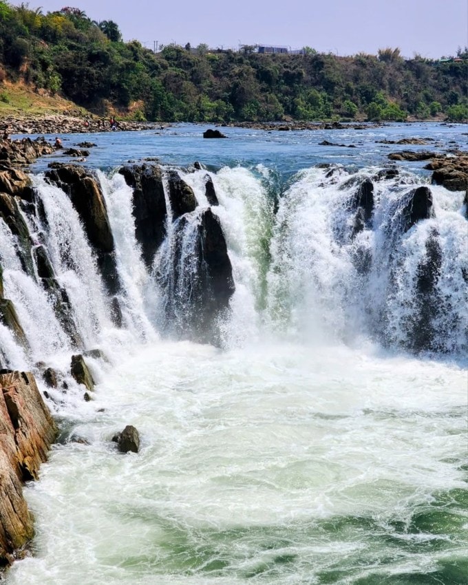 <strong>ધુંઆધાર ધોધ, ભેડાઘાટ (Dhuandhar Waterfall )</strong><br>ભારતના પ્રસિદ્ધ ધોધ પૈકીના એક ધુંઆધાર ધોધ છે જે મધ્ય પ્રદેશ રાજ્યના જબલપુર જિલ્લામાં આવેલો છે. આ ધોધ ભેડાઘાટ પાસે નર્મદા નદી પર સ્થિત છે જેની ઊંચાઈ 30 મીટરની છે. અહીં નર્મદા નદી વિશ્વ પ્રસિદ્ધ આરસના ખડકોમાંથી પસાર થાય છે જે આગળ જતાં તેનો પટ સાંકડો થાય છે અને ભેડાઘાટ પાસે તે ધોધ સ્વરૂપે પડે છે. પાણીના પડવાથી ધુમ્મસ જેવી રચના થાય છે. ઉંચાઇ પરથી નીચે પથ્થર પર પડતા પાણીનો અવાજ ઘણે દૂરથી સાંભળી શકાય છે. આ ધોધ પડવાને કારણે તે જગ્યાએ ધુમ્મસ સર્જાય છે. તેથી જ તેને ધુંઆધાર ધોધ કહેવામાં આવે છે. ધુઆંધર ધોધ સુંદરતાની દ્રષ્ટિએ એક અસાધારણ સ્થળ છે, જે આખા વર્ષ દરમિયાન મોટી સંખ્યામાં પ્રવાસીઓને આકર્ષે છે. આ સ્થાન તમારા મિત્રો અને પરિવાર સાથે પિકનિક કરવા માટે પણ એકદમ આદર્શ છે. ધોધની સામે એક વિશાળ ખુલ્લી જગ્યા છે. જબલપુર શહેરથી 25 કિમી દૂર સ્થિત, આ ધોધ તેની આકર્ષક સુંદરતાને કારણે એક લોકપ્રિય પ્રવાસન સ્થળ છે. મધ્યપ્રદેશ ટૂરિઝમ બોર્ડ દ્વારા અહીં બોટિંગની સુવિધા પણ ઉપલબ્ધ કરાવવામાં આવી છે. (Photo: Social Media)