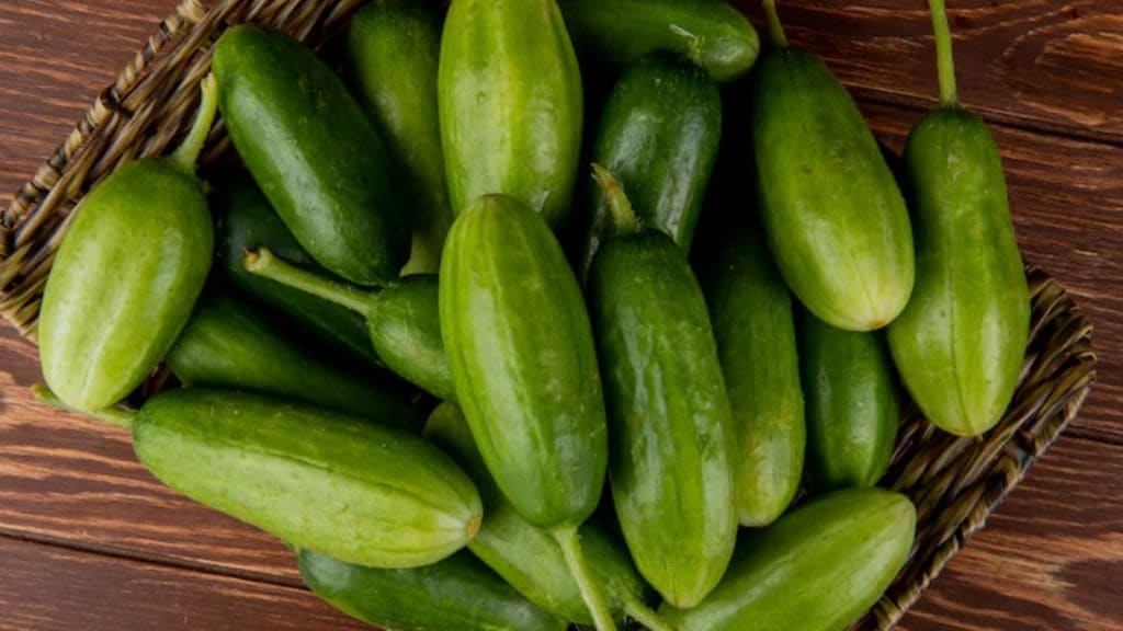 ચોમાસામાં પરવળનું શાક કેમ ખાવું જોઈએ?