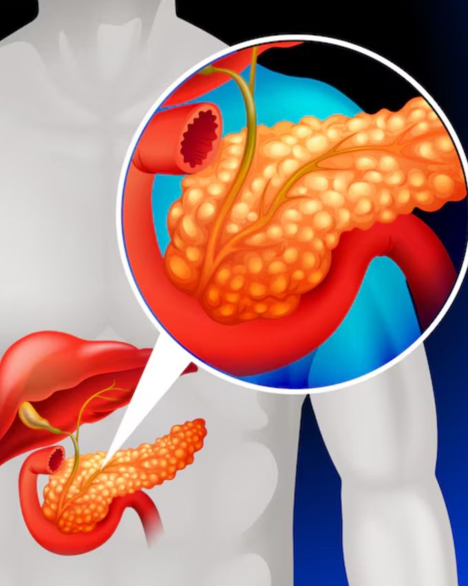 <strong>પિત્તાશય અને યકૃત વચ્ચેનું  જોડાણ : </strong>એક્સપર્ટ કહે કે પિત્તાશય અને યકૃત એકબીજા સાથે જોડાયેલા છે.લીવર હંમેશા પિત્ત ઉત્પન્ન કરતું રહે છે અને પિત્તાશયનું કામ તેને સંગ્રહિત કરવાનું અને ભોજન દરમિયાન નાના આંતરડામાં મોકલવાનું છે. એટલે કે, પિત્તાશય એક પ્રકારની સ્ટોરેજ ટેન્ક છે.