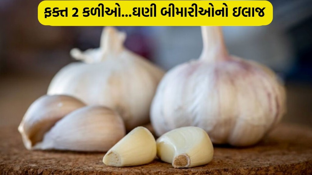 ખાલી પેટ 2 લસણની કળી ઘી માં શેકીને ખાવાથી શરીર પર કેવી થાય છે અસર, બાબા રામદેવે જણાવ્યું