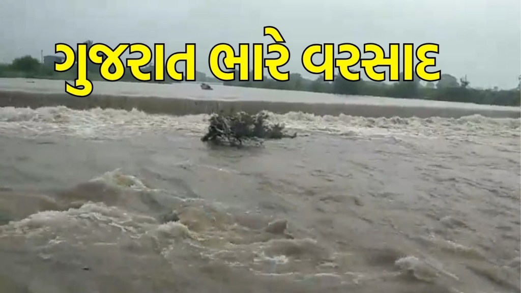 Gujarat Rain : સુરતના ઉમરપાડામાં વરસાદની તોફાની બેટિંગ, 8.11 ઈંચ વરસાદ ખાબક્યો, રાજ્યમાં 195 તાલુકામાં વરસાદ