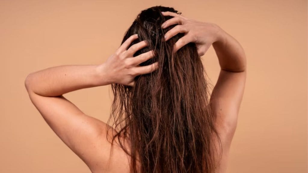 Monsoon Hair Care Tips | ચોમાસામાં હેરકેર ટિપ્સ, મજબૂત વાળ માટે આ રીતે તેલ ઘરે બનાવો