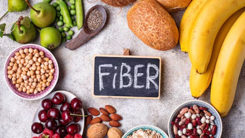 Importance of Fiber | તમે દિવસ દરમિયાન કેટલું ફાઇબર લો છો? સેવનથી પાચનથી લઈને બ્લડ સુગર સુધીની સમસ્યામાં થશે રાહત