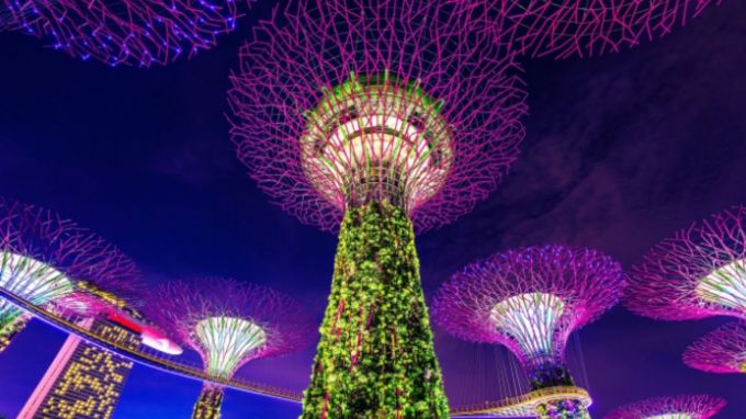 તમે IRCTC વેબસાઇટ અથવા મોબાઇલ એપ્લિકેશન દ્વારા પેકેજ બુક કરી શકો છો. આ પેકેજનો કોડ SHO1 છે. વધુ માહિતી માટે, તમે IRCTC ની સત્તાવાર વેબસાઇટની મુલાકાત લઈ શકો છો. (photo-freepik)