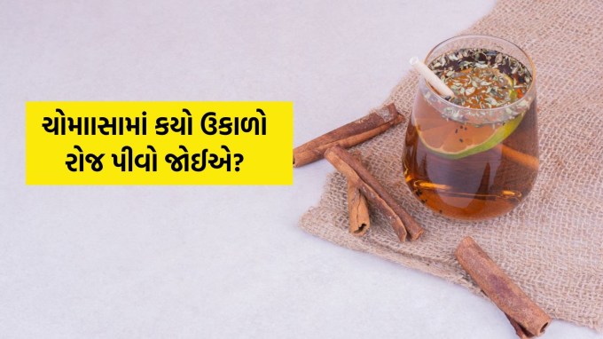 <strong>Health Tips Gujarati</strong> : વરસાદ પોતાની સાથે અનેક બીમારીઓ લઇને આવે છે. આ ઋતુમાં રોગપ્રતિકારક શક્તિ નબળી પડી જાય છે. આયુર્વેદ અનુસાર આ સિઝનમાં કેટલાક ઉકાળા એવા છે જે ફાયદાકારક સાબિત થઈ શકે છે. (Photo: Freepik)