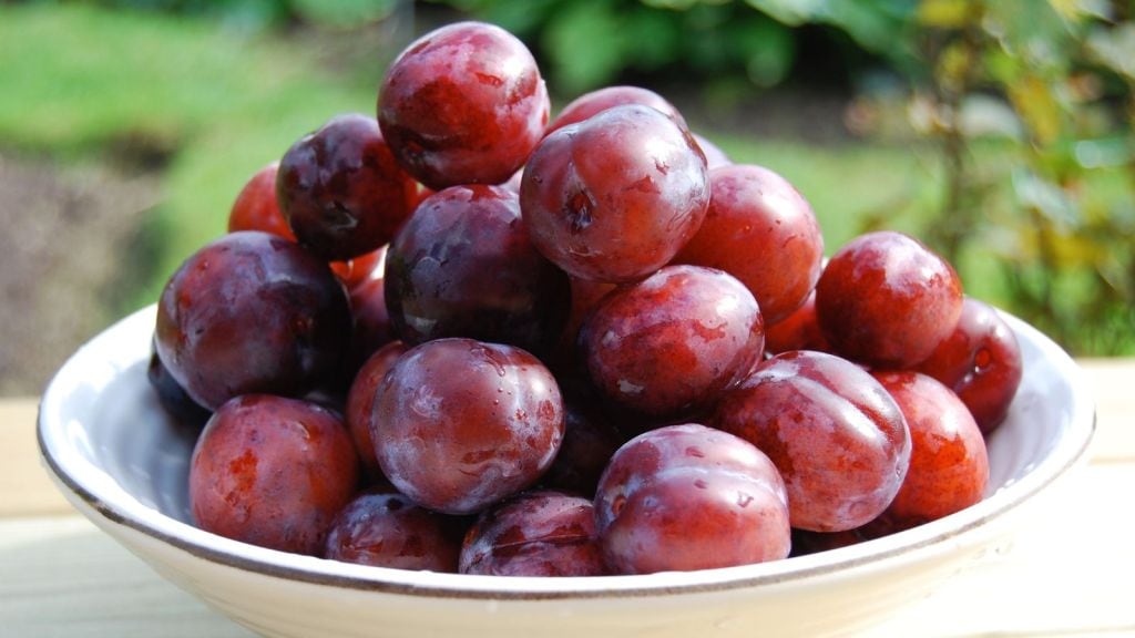 Aloo Bukhara Health Benefits | રાસબરી ચોમાસામાં કેમ ખાવામાં આવે છે?