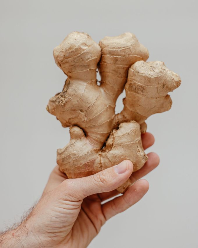 આદુને શક્તિ વધારનાર કહેવામાં આવ્યું છે. શેકેલા આદુનું સેવન પાચન, રોગપ્રતિકારક શક્તિ અને સાંધાના દુખાવામાં રાહત માટે ફાયદાકારક માનવામાં આવે છે. તે સંધિવા અને અન્ય સાંધાની સમસ્યાઓમાં રાહત આપવા માટે જાણીતું છે. તેમાં બળતરા વિરોધી ગુણધર્મો છે, જે પીડા અને જડતાને દૂર કરવામાં મદદ કરે છે.