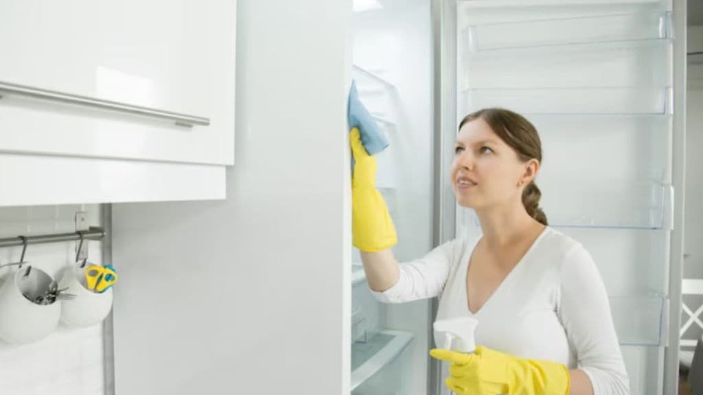 Tips for Cleaning Fridge | ચોમાસામાં ફ્રિજની સફાઈ આ સરળ ટિપ્સથી કરો, બેકટેરિયા, દુર્ગધ ઓછી મહેનતે થશે દૂર