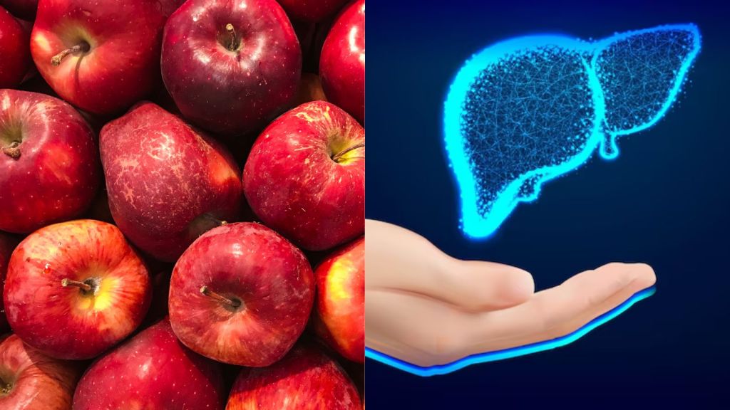 Apple and Liver Health | દરરોજ બે સફરજન ખાવાથી ફેટી લીવરની સમસ્યા દૂર થાય?