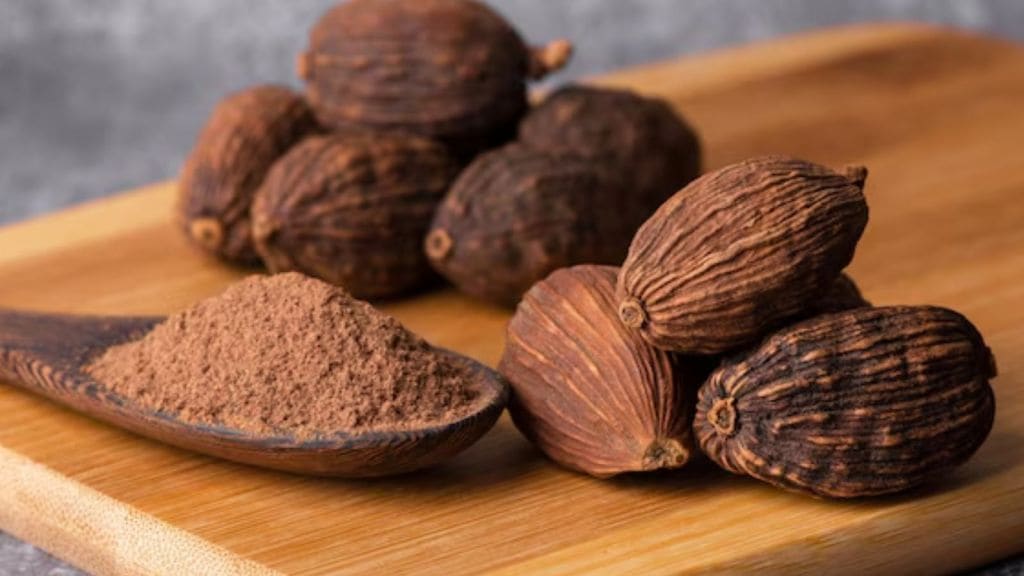Black cardamom | કાળી ઈલાયચી સવારે આ રીતે કરો સેવન, થશે ફાયદા, દવાની પણ જરૂર નહિ પડે !