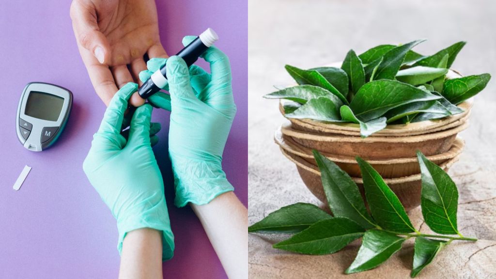 Curry Leaves for Diabetes | ડાયાબિટીસ રહેશે કંટ્રોલમાં, ખાલી પેટ મીઠા લીમડાનું કરો સેવન