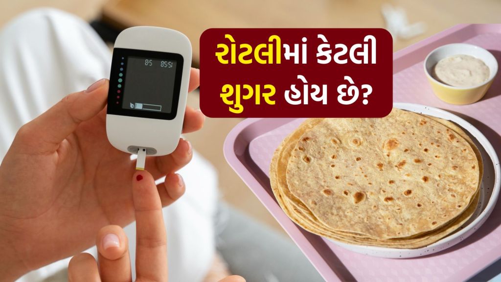Diabetes Diet Tips: ડાયાબિટીસ દર્દી માટે ઘઉંની રોટલી નુકસાનકારક, આ રીતે શુગર ફ્રી રોટલી બનાવો