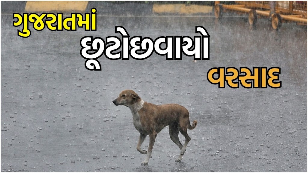 Gujarat Rain Today: ગુજરાતમાં 24 કલાકમાં 31 તાલુકામાં છૂટો છવાયો વરસાદ, ક્યાં કેટલો નોંધાયો?