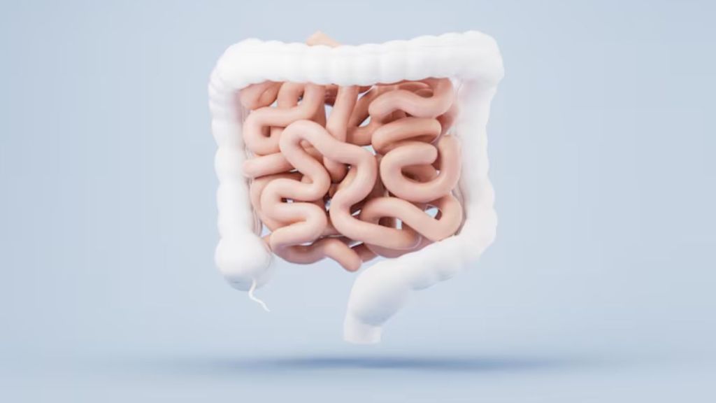 Intestines Cleansing Tips | આંતરડા સાફ કરવા માટે સૌથી અસરકારક આયુર્વેદિક ટિપ્સ, આ પીણાં પીવાનું શરૂ કરો