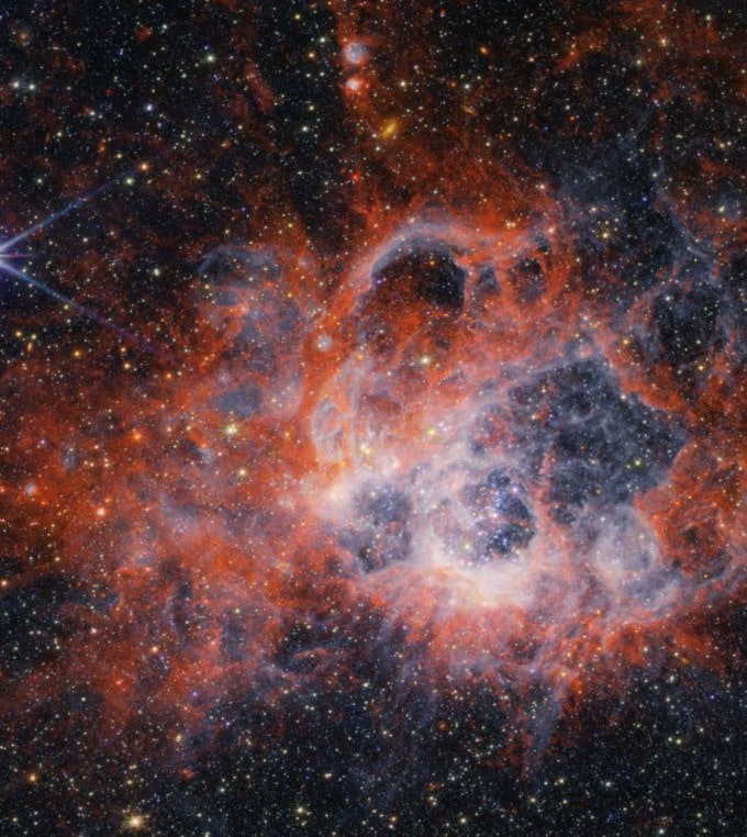 નાસાના જેમ્સ વેબ સ્પેસ ટેલિસ્કોપના NIRCam (નજીક-ઇન્ફ્રારેડ કેમેરા) માંથી તારા બનાવતા પ્રદેશ NGC 604 ની આ છબી બતાવે છે કે કેવી રીતે તેજસ્વી, ગરમ યુવાન તારાઓમાંથી આવતા તારાકીય પવનો આસપાસના ગેસ અને ધૂળમાં પોલાણ બનાવે છે. (ફોટો સ્ત્રોત: Nasa)