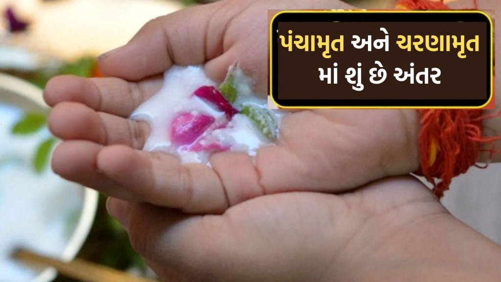 પંચામૃત અને ચરણામૃતમાં શું છે અંતર? શ્રીકૃષ્ણ જન્માષ્ટમી પહેલા જાણો આ બન્નેની બનાવવાની રીત