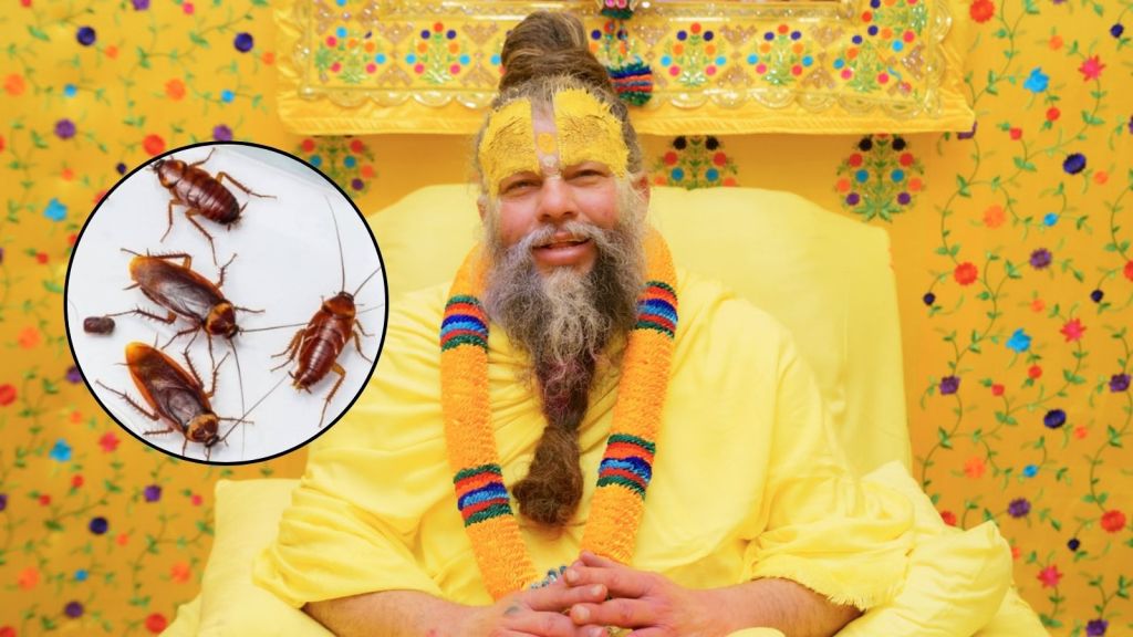 ઘરમાં મચ્છર અને વંદા મારવાથી પાપ લાગે છે? પ્રેમાનંદ મહારાજે સરળ ભાષામાં સમજાવ્યું