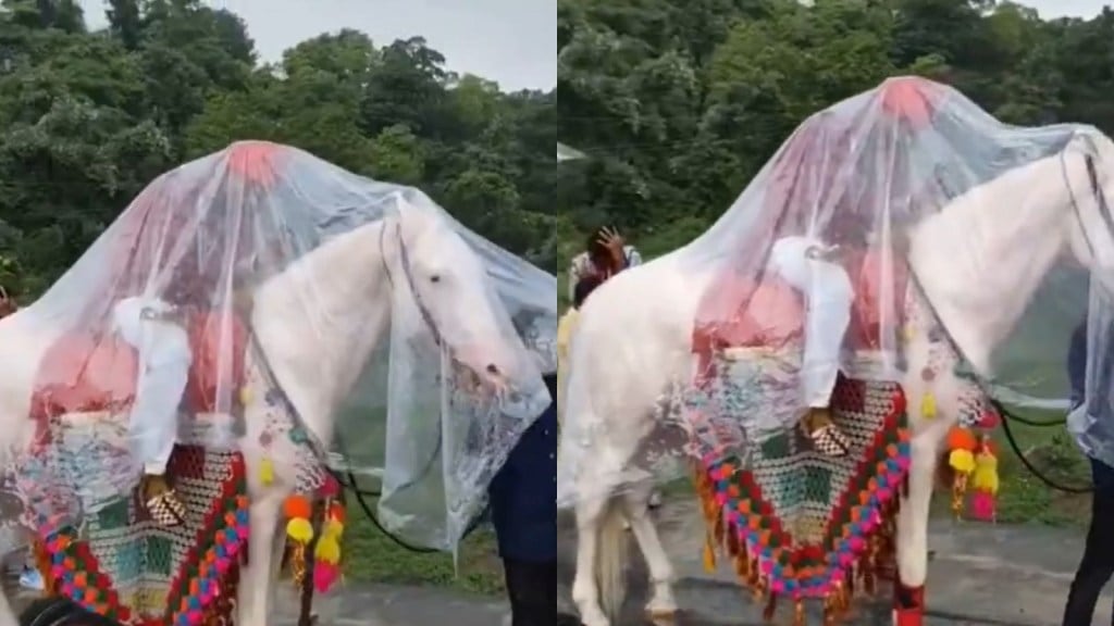VIDEO: વરરાજાને લગ્ન કરવાથી કોઈ ના રોકી શકે, આ વીડિયો જોઈ તમે પણ સમજી જશો