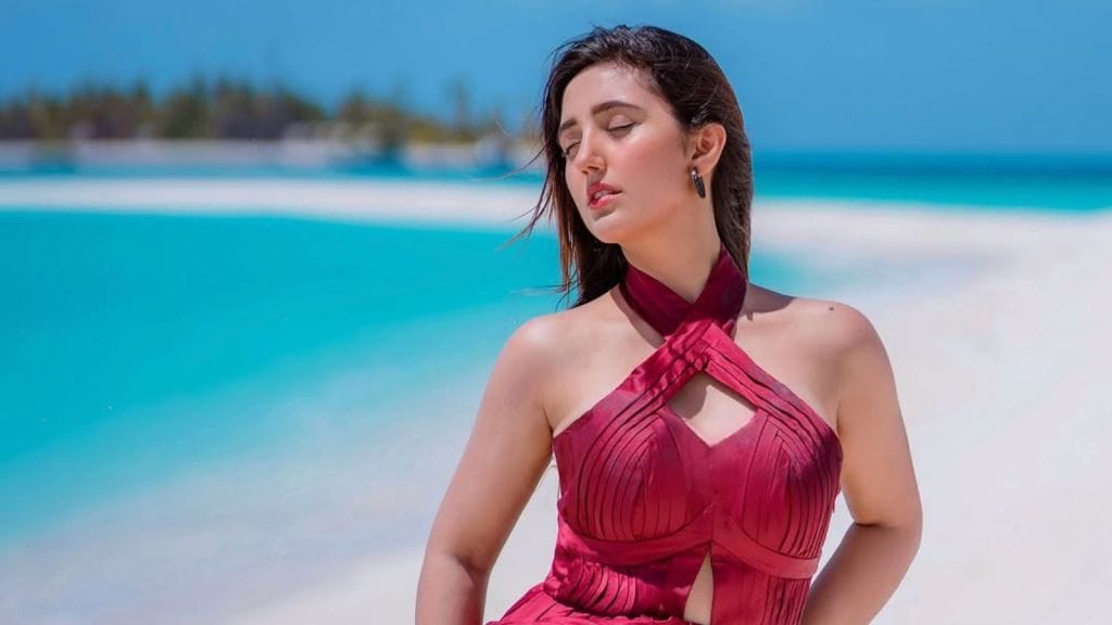 Bigg Boss 19: બિગ બોસ 19 ની સૌથી નાની ઉંમરની સ્પર્ધક છે આ ફેમસ ટીવી એક્ટ્રેસ, સંજય દત્ત સાથે કરી ચૂકી છે ફિલ્મ