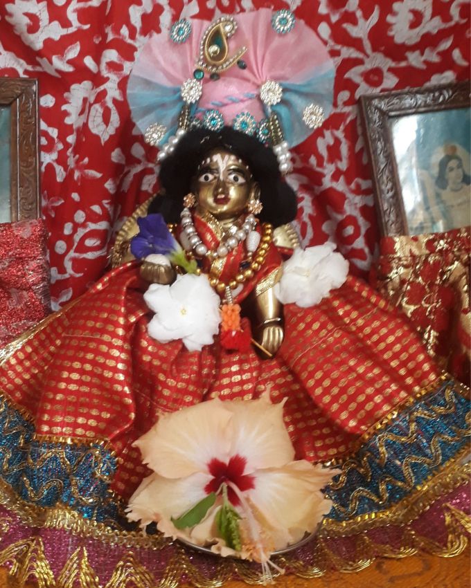ભક્તો તેમના પ્રિય ઠાકુરજીને નવા વસ્ત્રો પહેરાવે છે, ઝૂલાઓ શણગારે છે અને વિવિધ પ્રકારના ડેકોરેશન કરીને શણગારે છે.