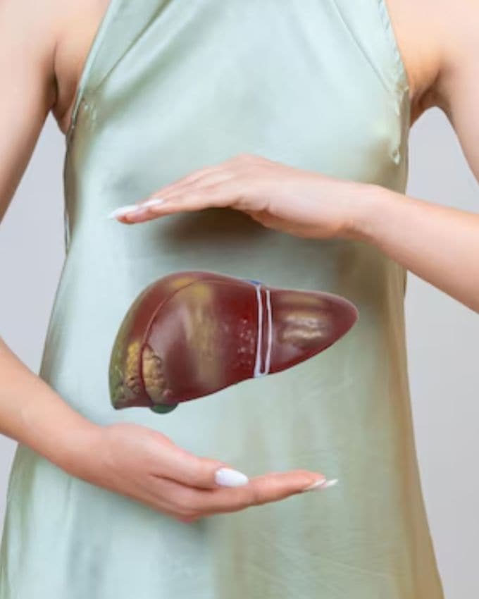 લીવર (liver) નું કાર્ય લોહીમાં એમિનો એસિડનું નિયમન કરવાનું, ગ્લુકોઝના સ્તરને સંતુલિત કરવાનું, ગ્લુકોઝને ગ્લાયકોજેનમાં રૂપાંતરિત કરવાનું, લોહીના ગંઠાવાનું સંચાલન કરવાનું, ઝેરી તત્વો દૂર કરવાનું વગેરે છે. પરંતુ જ્યારે આ અસર પામે છે, ત્યારે તેની અસર શરીરના ઘણા ભાગોમાં જોવા મળે છે. કેટલાક આયુર્વેદિક ઉપાયો છે જેની મદદથી લીવરને શુદ્ધ કરી શકાય છે. આ સાથે, આ ઉપાયો કિડની સંબંધિત સમસ્યાઓથી પણ રાહત આપવામાં મદદ કરી શકે છે.