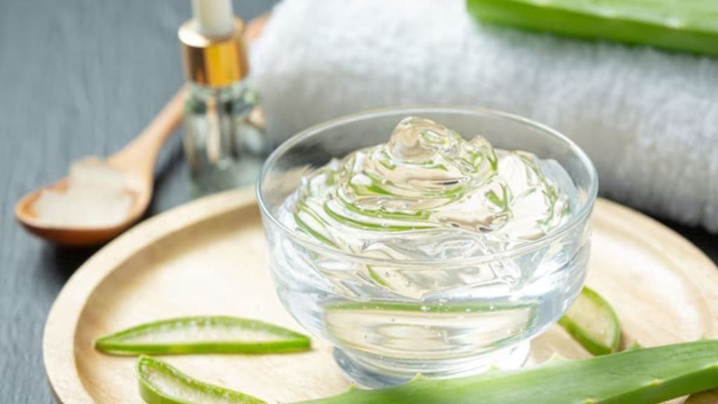 Aloe Vera | જો તમારી પાસે એલોવેરા હોય તો તમે હવે ઘરે જ ફેસવોશ તૈયાર કરી શકો છો, જાણો કેવી રીતે બનાવશો?