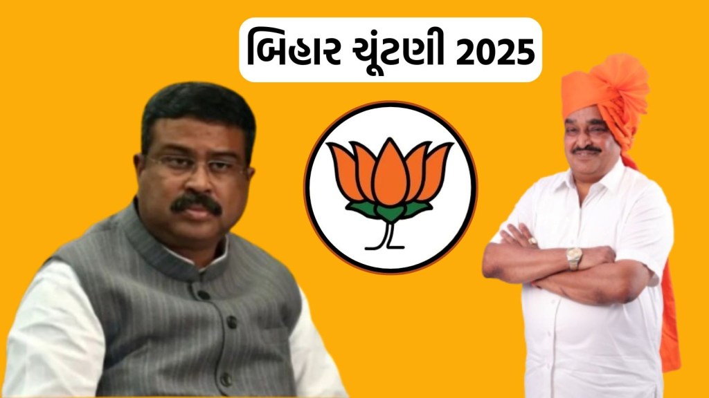 ધર્મેન્દ્ર પ્રધાન બિહાર ચૂંટણી માટે ભાજપના પ્રભારી બન્યા, સીઆર પાટીલને પણ ખાસ જવાબદારી સોંપાઈ