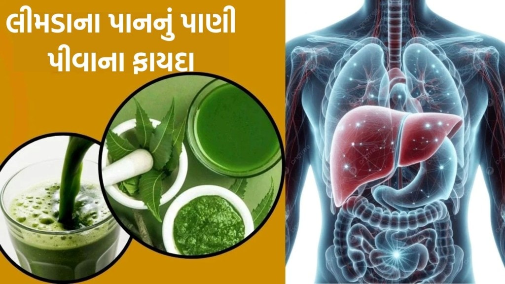 દરરોજ લીમડાના પાનનું પાણી પીવાથી સ્વાસ્થ્ય પર કેવી થાય છે અસર, આચાર્ય બાલકૃષ્ણ પાસેથી જાણો