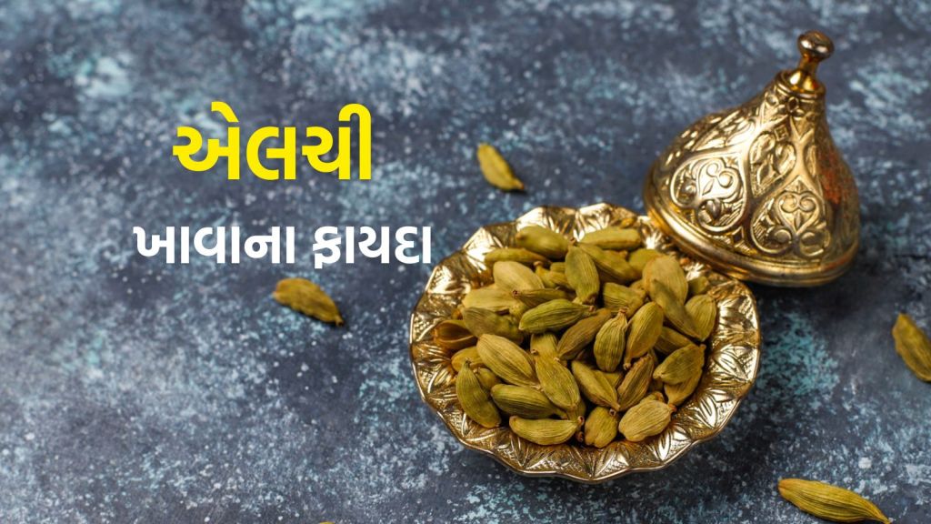 Cardamom Benefits : એલચી નાનો દાણો પણ મોટો ફાયદો, આહારમાં સામેલ કરવાના 5 સ્વાસ્થ્ય લાભ Cardamom Benefits : એલચી નાનો દાણો પણ મોટો ફાયદો, આહારમાં સામેલ કરવાના 5 સ્વાસ્થ્ય લાભ