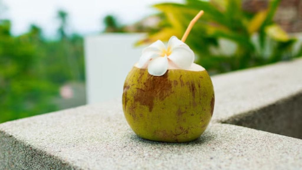 Coconut Water Day | નાળિયેર પાણી કેટલું પીવું સલામત? પીવાનો શ્રેષ્ઠ ટાઈમ શું? જાણો બધુજ