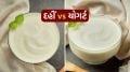 Yogurt VS Curd Difference | Curd vs Yogurt Difference | Greek Yogurt