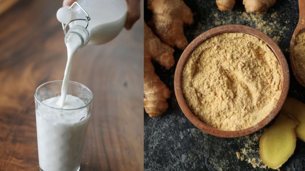 Dry Ginger Milk Health Benefits। સાંધાના દુખાવા, અનિદ્રા અને ગેસ જેવી ઘણી સમસ્યાઓમાં અસરકારક સુંઠનું દૂધ, જાણો ફાયદા