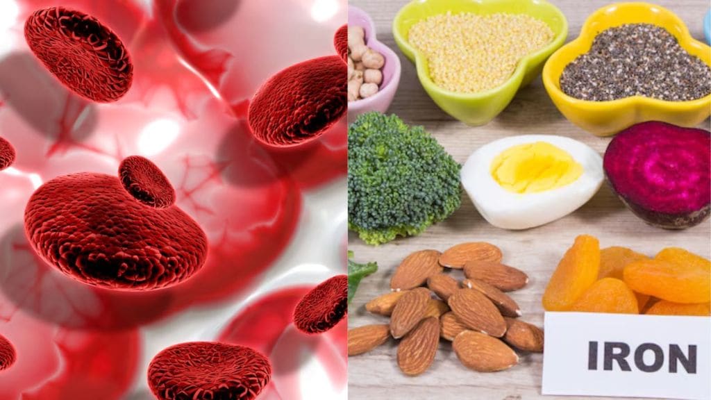 Foods to Boost Hemoglobin | થાક, નબળાઈ, શ્વાસ લેવામાં તકલીફ થાય છે? હિમોગ્લોબિન ઉણપ હોઈ શકે, આ ખોરાક છે અમૃત સમાન Foods to Boost Hemoglobin | થાક, નબળાઈ, શ્વાસ લેવામાં તકલીફ થાય છે? હિમોગ્લોબિન ઉણપ હોઈ શકે, આ ખોરાક છે અમૃત સમાન