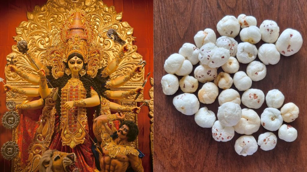 Navratri 2025 | નવરાત્રીના ઉપવાસ દરમિયાન ફાઇબરથી ભરપૂર ડાયટનું મહત્વ, મખાનાનું સેવન આ વસ્તુ સાથે કરો