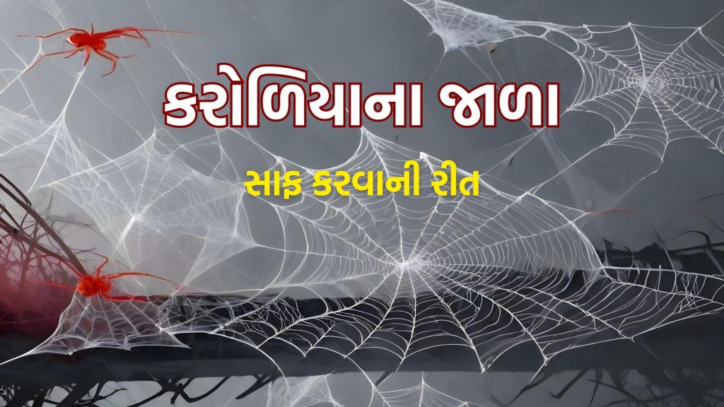 Home Cleaning Tips : ઘર માંથી કરોળિયાના જાળા સાફ કરવાની સરળ રીત, દિવાળીમાં ઘર સ્વચ્છ સુંદર દેખાશે