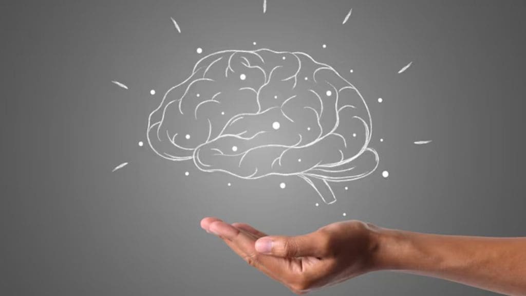 Tips To Keep Your Brain Sharp | માનસિક થાક દૂર કરવા આટલું કરો, મગજને તેજમાં કરશે મદદ આ આદતો