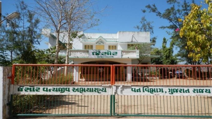 જેશોર ર્સ્લોથ રીંછ અભયારણ્ય : ર્સ્લોથ રીંછ અભયારણ્ય કે જે અરવલ્લી શ્રેણીના યસૂર ટેકરીઓમાં સ્થિત છે,તે 180 ચો.કિ.મી. સૂકી પાનખર જંગલોનો વિસ્તાર આવરી લે છે. આળસુ રીંછ ઉપરાંત અન્ય અભયારણ્યમાં પ્રાણીસૃષ્ટિમાં ચિત્તો, વાદળી આખલો, જંગલી ડુક્કર, સાકુરાળ અને વિવિધ પક્ષીઓ છે.અભયારણ્ય દ્વારા આયોજીત અન્ય ભયંકર જાતિઓ જેવી કે જંગલ લાડી, સીવીટ, કારાકલ, વરુ અને હાઈના છે. અભયારણ્યએ 406 છોડ પ્રજાતિઓની પણ ઓળખ કરી છે.અરવલ્લી પર્વતોની વસ્તીમાં સ્થિત છે. ગુજરાતના જેશોર હિલ બીજા ક્રમનું સૌથી મોટું શિખર છે. (Photo- banaskantha.nic.in)