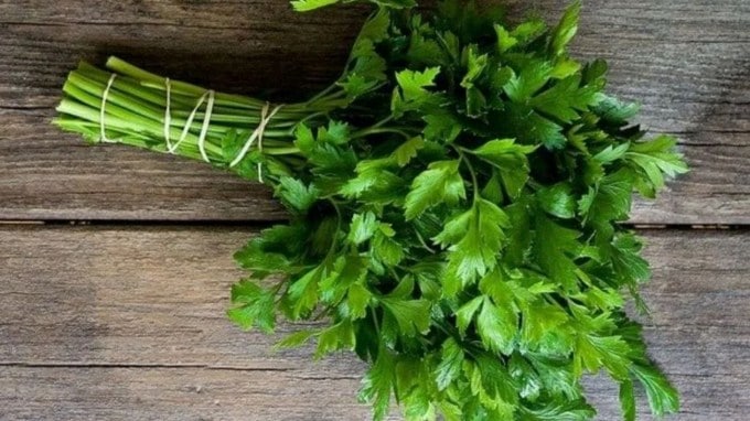 <strong>how to store coriander leaves :</strong> વરસાદની ઋતુમાં લીલા શાકભાજી લાંબા સમય સુધી સ્ટોર કરવા ખૂબ મુશ્કેલ બની જાય છે. ખાસ કરીને ધાણાને સ્ટોર કરવામાં ખૂબ જ પરેશાની થાય છે.(Photo Source: Pinterest)