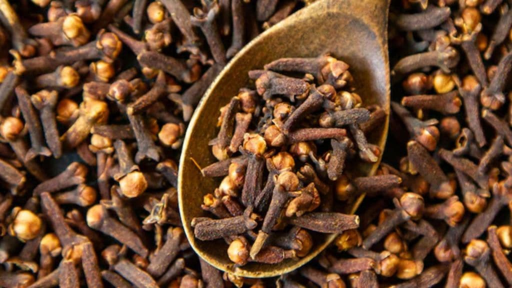 Clove Water | રાત્રે સૂતા પહેલા લવિંગનું પાણી પીવાથી ફાયદા જાણો, દરરોજ પીશો