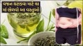 green tea for weight loss and burn belly fat