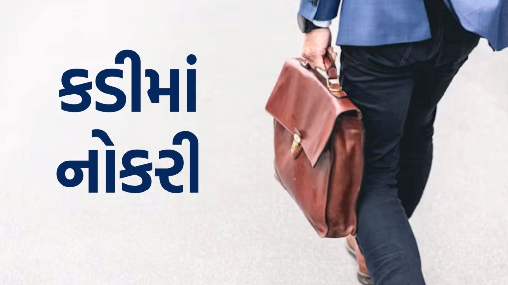 kadi bharti 2025 : કડીમાં પરીક્ષા વગર ₹ 30,000 વાળી નોકરી મેળવવાની તક, જાણો શું હોવી જોઈએ લાયકાત?