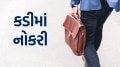 kadi nagarpalika city manager bharti 2025