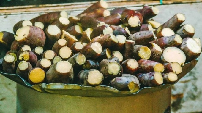 <strong>તે કેવી રીતે બને છે?</strong> : જ્યારે ટેપિઓકાનો પાક તૈયાર થાય છે ત્યારે ઉપરનો ભાગ કાપીને અલગ કરી નાખવામાં આવે છે અને મૂળને સારી રીતે સાફ કરવામાં આવે છે. પછી મૂળને પીસવામાં આવે છે અને તેમાંથી સફેદ સ્ટાર્ચ નીકળે છે જે દેખાવમાં દૂધ જેવું લાગે છે. ત્યારબાદ સ્ટાર્ચને રિફાઇન્ડ કરવામાં આવે છે અને ગરમ કરવામાં આવે છે. પછી મશીનથી દાણાદાર આકાર આપવામાં આવે છે, જેમાંથી સાબુદાણા બને છે. (Photo: Pexels)