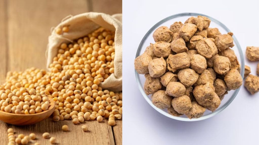 સોયાબીન કે સોયાબીન વડી ? કયામાં વધુ પ્રોટીન હોય? બંનેના ફાયદા જાણો