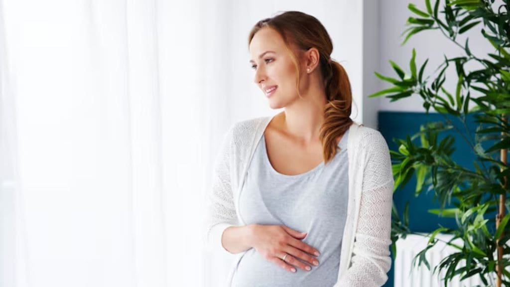 પ્રેગ્નેન્સી દરમિયાન અથાણું ખવાય?