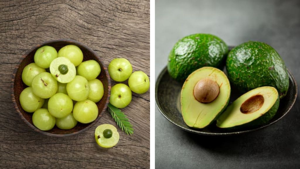 આમળા કે એવોકાડો, વધુ શું સારું? એક્સપર્ટે શું કહ્યું? આમળા કે એવોકાડો, વધુ શું સારું? એક્સપર્ટે શું કહ્યું?
