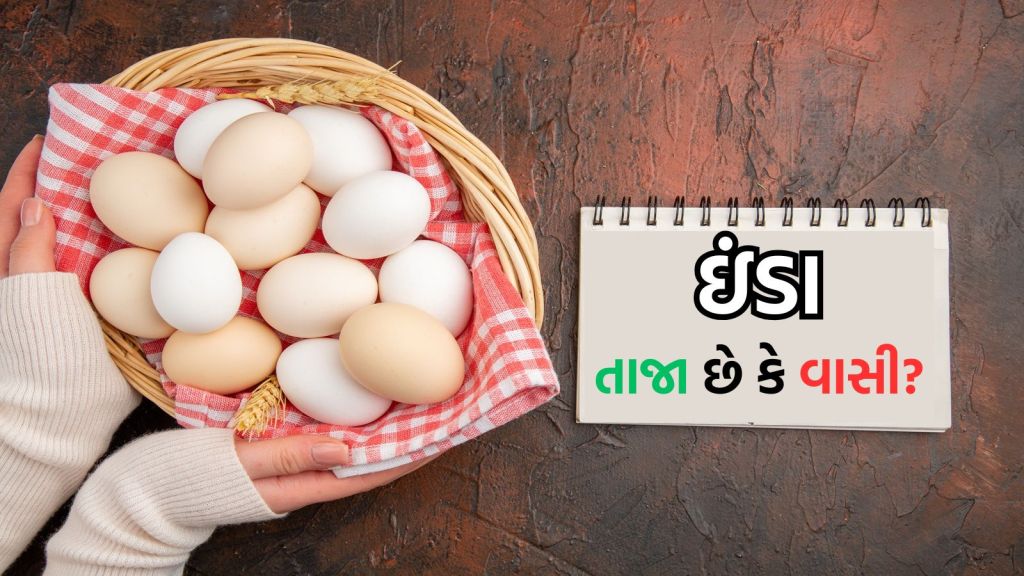 Egg Freshness Test : ઇંડા તાજા છે કે વાસી કેવી રીતે ચેક કરવા? આ 3 સરળ રીત ઉપયોગી થશે Egg Freshness Test : ઇંડા તાજા છે કે વાસી કેવી રીતે ચેક કરવા? આ 3 સરળ રીત ઉપયોગી થશે