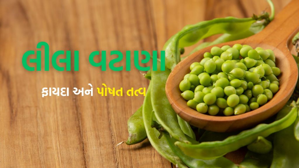 Green Peas Benefits : વટાણા શિયાળાનું સુપરફૂડ, સ્વાસ્થ્ય લાભ જાણી આજથી ખાવાનું શરૂ કરી દેશો