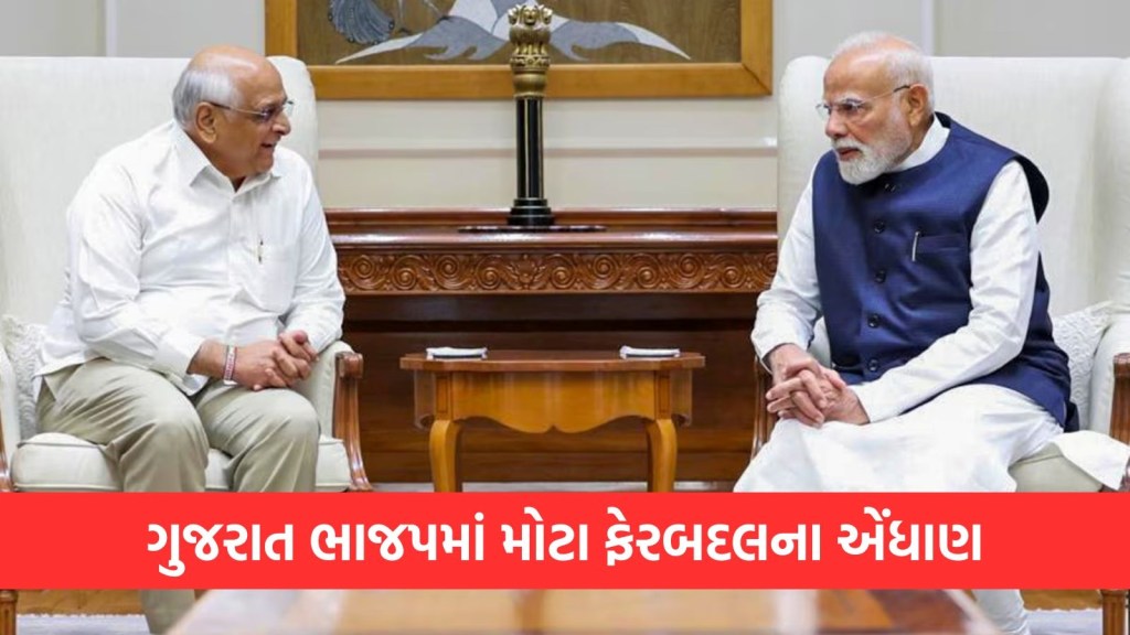 ગુજરાતના રાજકારણમાં મોટી હલચલ થવાના એંધાણ, મોટા ફેરબદલની તૈયારીમાં ભાજપ